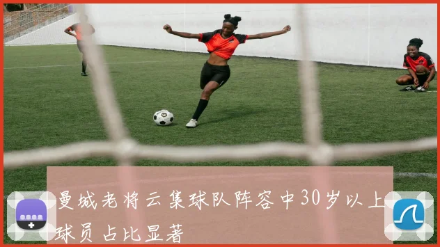 曼城老将云集球队阵容中30岁以上球员占比显著